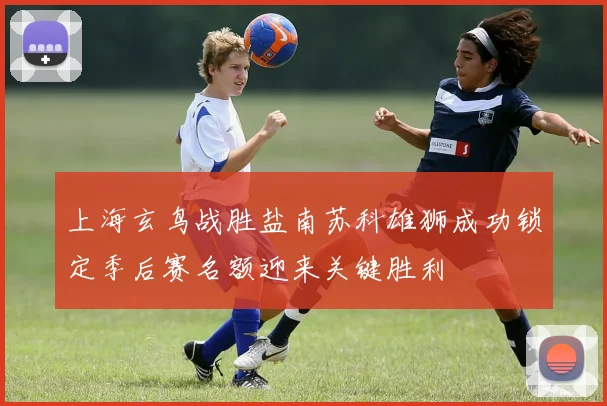 上海玄鸟战胜盐南苏科雄狮成功锁定季后赛名额迎来关键胜利