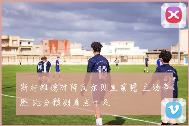 斯柯维德对阵瓦尔贝里前瞻 主场争胜 比分预测看点十足