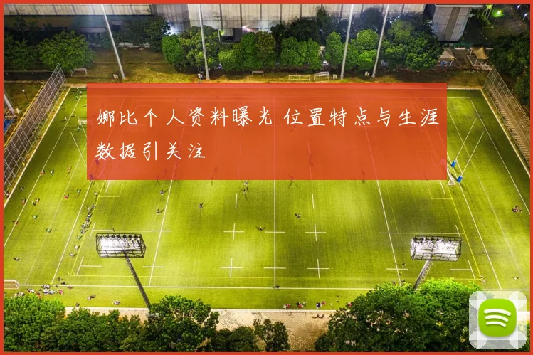 娜比个人资料曝光 位置特点与生涯数据引关注